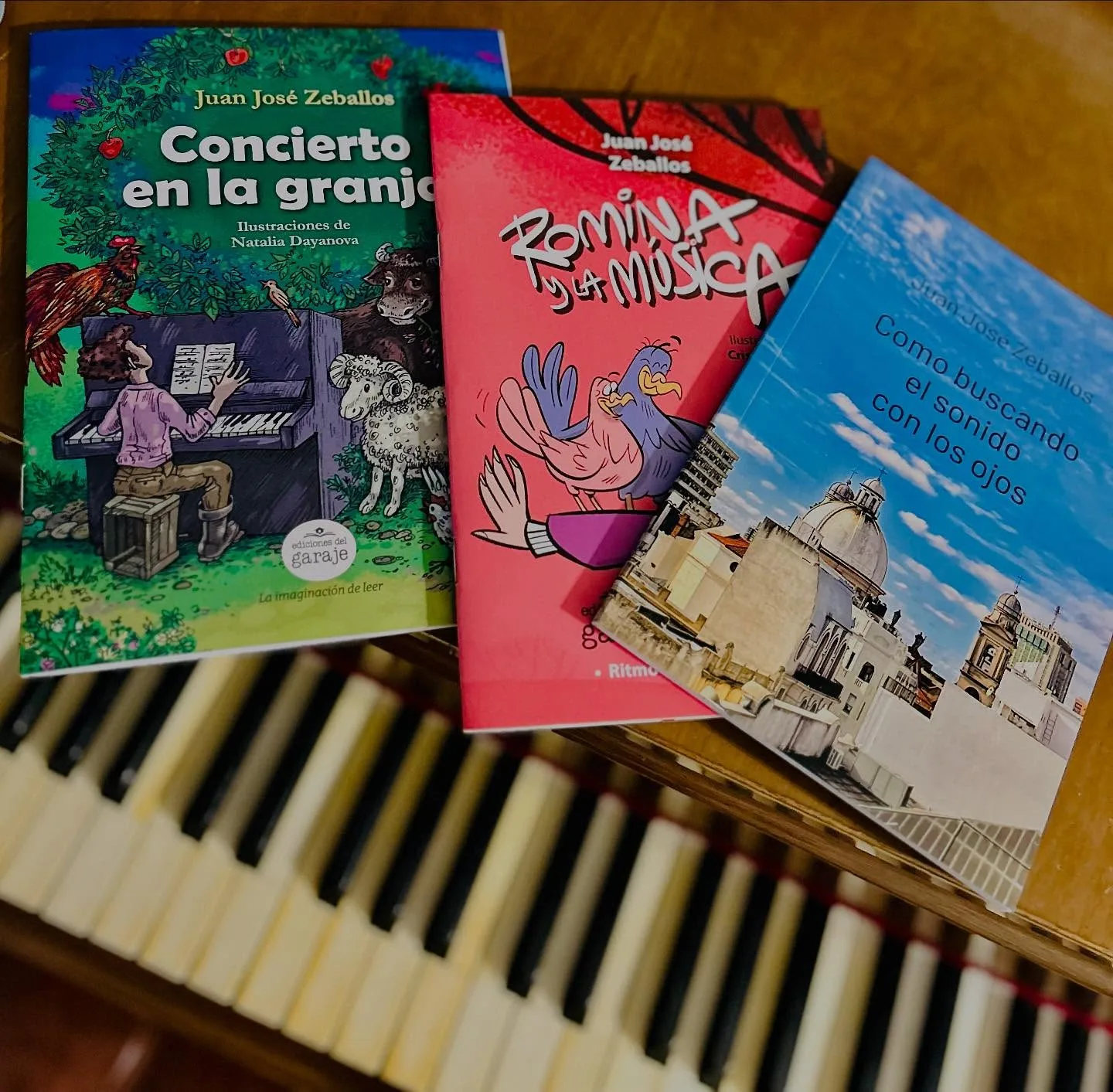 Libros publicados por Juan José Zeballos